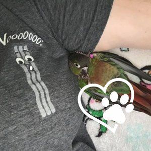 Meet your Posher, Erika